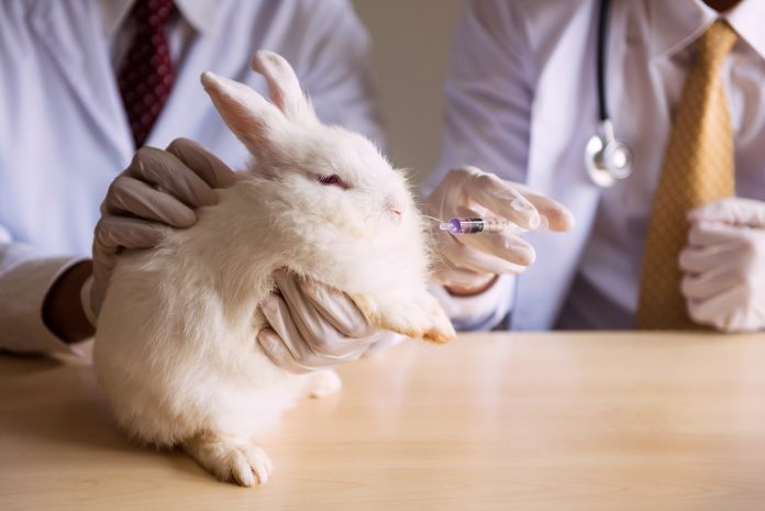 Vacuna conejo