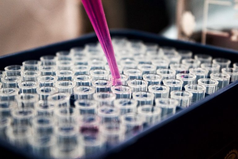 Estudios pivotales demuestran eficacia y seguridad mantenida de ibrutinib en pacientes con LLC