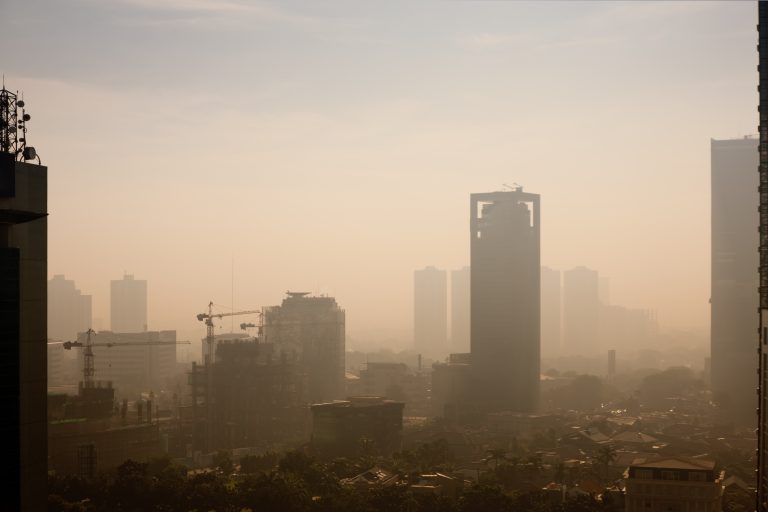 La contaminación agrava la rinitis