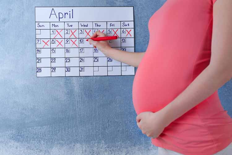 lineal rechazo Arquitectura Cómo se calculan las semanas de embarazo? | Edad gestacional