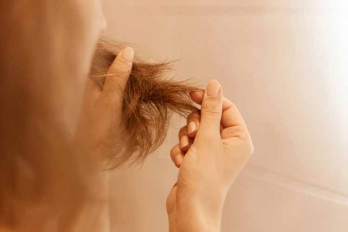 Cabello seco y dañado