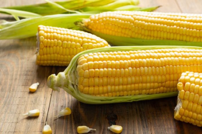 Propiedades del Maíz Beneficios de comer maíz