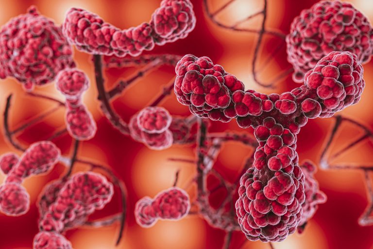 Luz verde del CHMP a un nuevo tratamiento en primera línea para el linfoma de células del manto