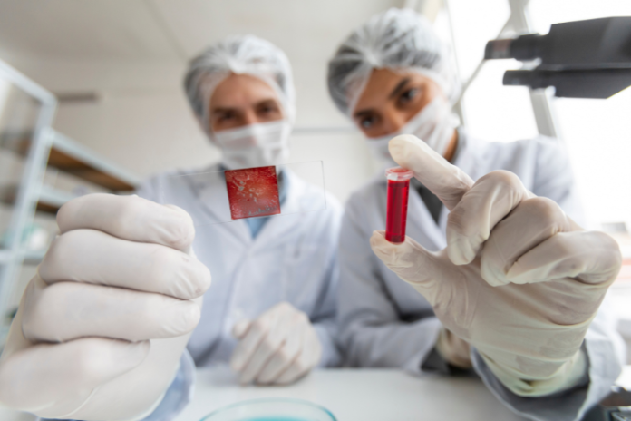 Espacios Sanadores Espacios Sanadores