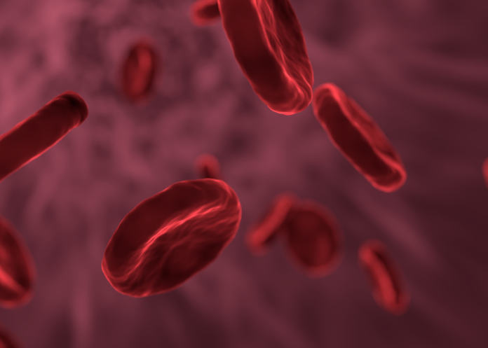 Investigación Hemofilia