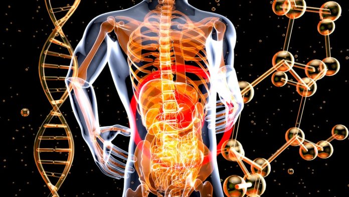 Enfermedad inflamatoria intestinal síntomas: qué es, tipos y diagnóstico — Foto de julien Tromeur en Unsplash