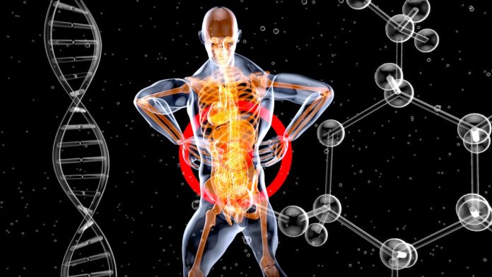 Fibromialgia, dolor crónico y calidad de vida: guía completa para entender esta — Foto de julien Tromeur en Unsplash