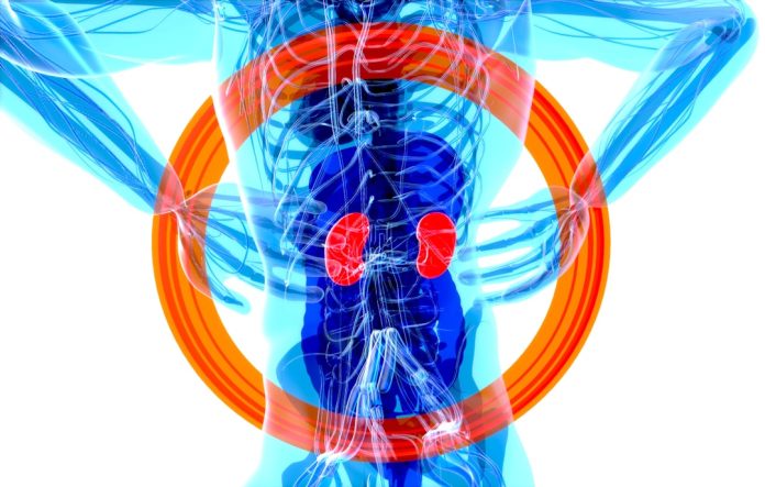 Tiroides e hipotiroidismo: síntomas, diagnóstico y tratamiento explicados — Foto de julien Tromeur en Unsplash