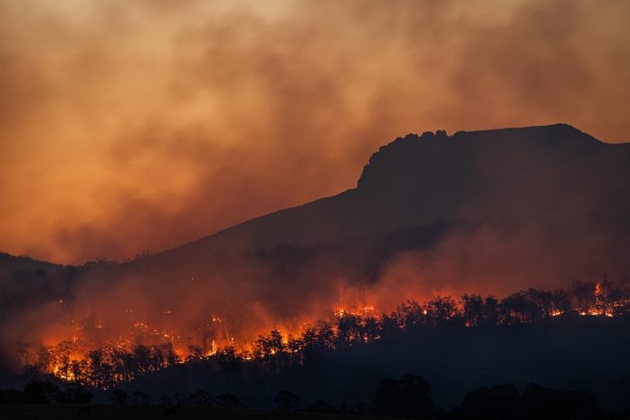 incendios-forestales-recomendaciones-sanitarias-del-minister Incendios forestales: recomendaciones sanitarias del Ministerio de Sanidad para — Foto de Matt Palmer en Unsplash